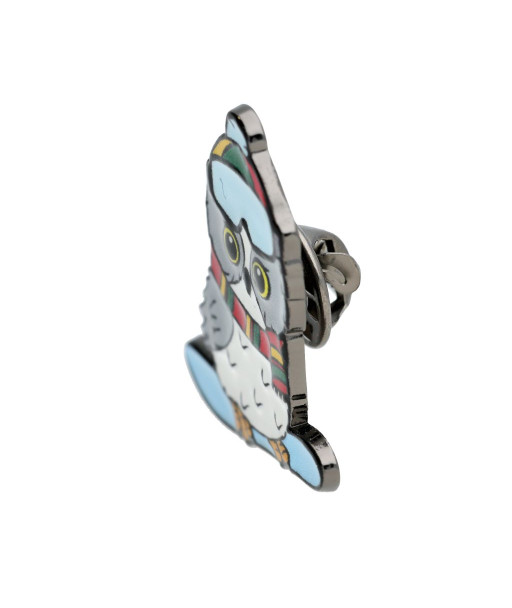 Ženkliukas pelėdžiukas ant snieglentės